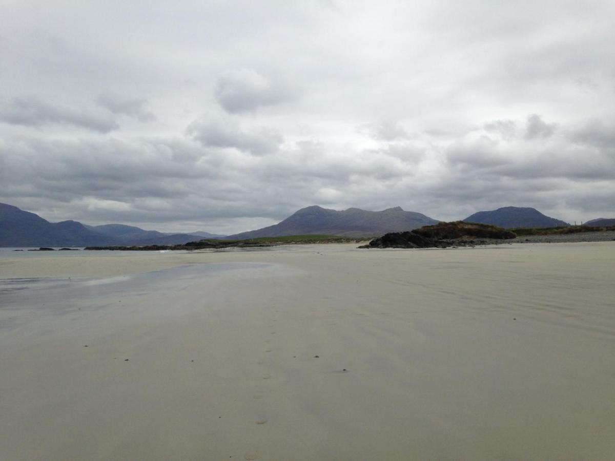 Oranmore Apartment On The Wild Atlantic Way エクステリア 写真
